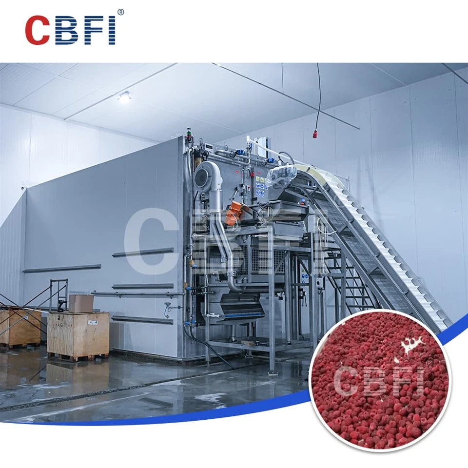 Congelator rapid cu pat fluidizat de 2000 kg/h care permite modernizarea industriei fructelor de pădure în cinci țări Stan din Asia Centrală