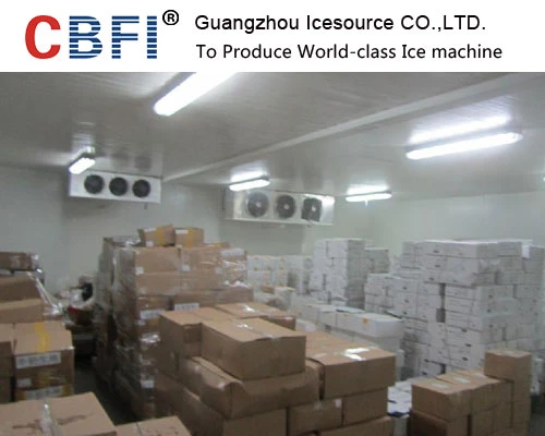Walk In Freezer Cold Storage Warehouse Facilities Customized For Fish Chicken And Meat