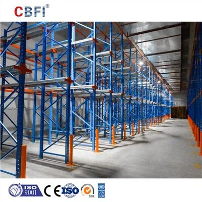 Depozitare frigorifică mare CBFI: control precis al temperaturii în mai multe zone și sistem automat de economisire a energiei, creând un centru logistic eficient pentru lanțul de frig